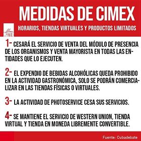 cimex1