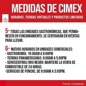 cimex2